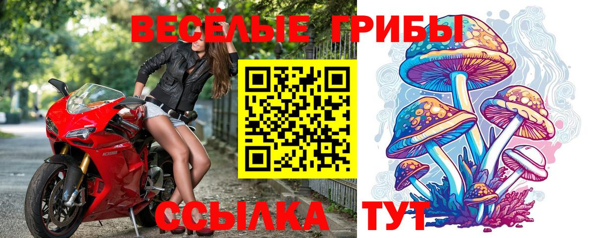 Галлюциногенные грибы GOLDEN TEACHER  Псилоцибиновые грибы ЛСД  Мирный  Вход с VPN 