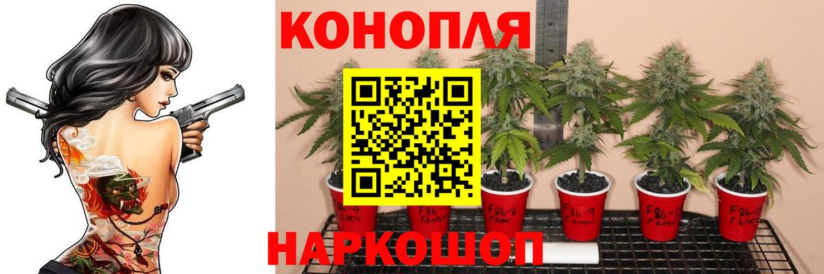 Конопля Amnesia  Шишки марихуана MAZAR  Конопля ГИДРОПОН  Вход с VPN  Бошки Шишки AK-47  Мирный 